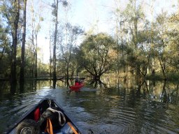 November 2025 - Wintersdorf